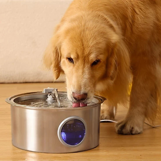 Stainless Steel Water Fountain
