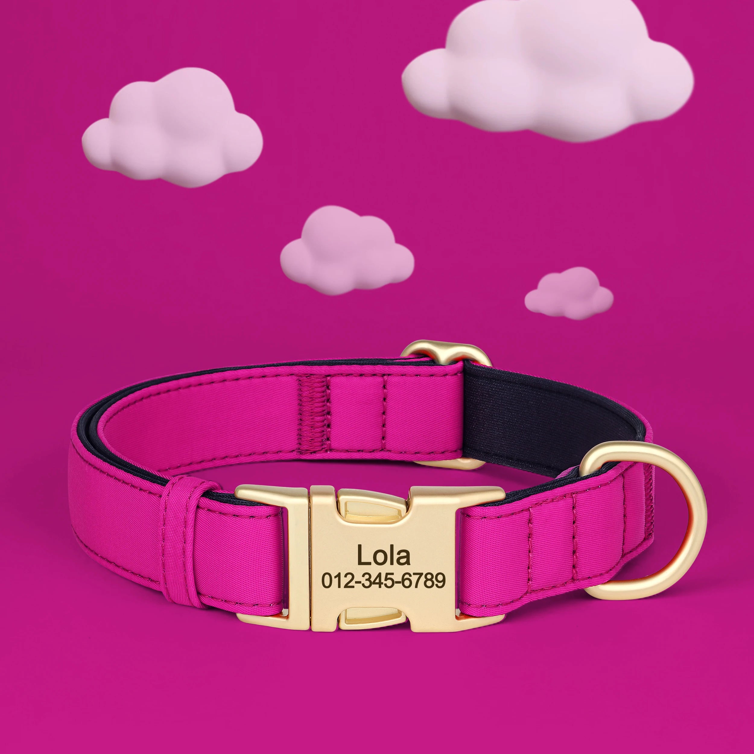 Personalized Collar