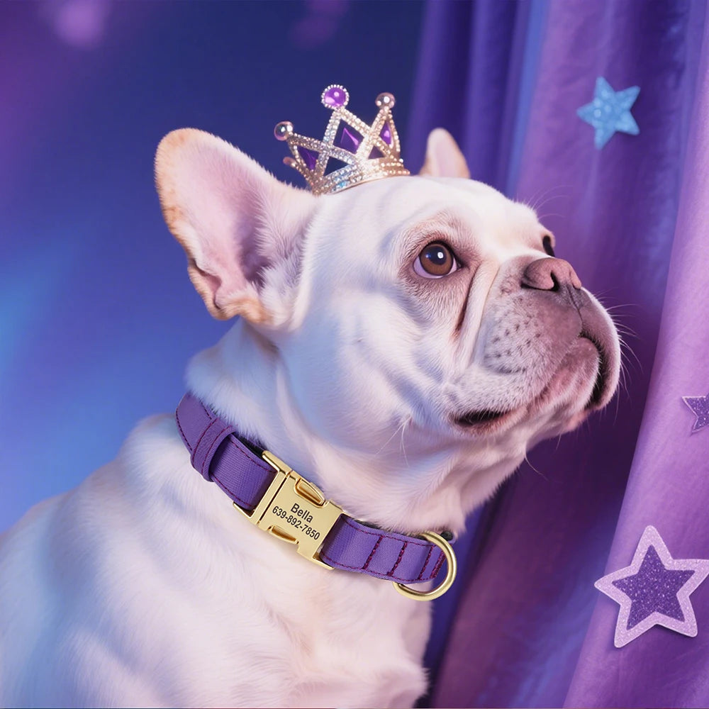 Personalized Collar