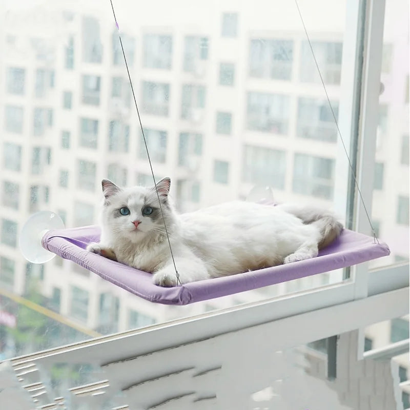 Window Hammock