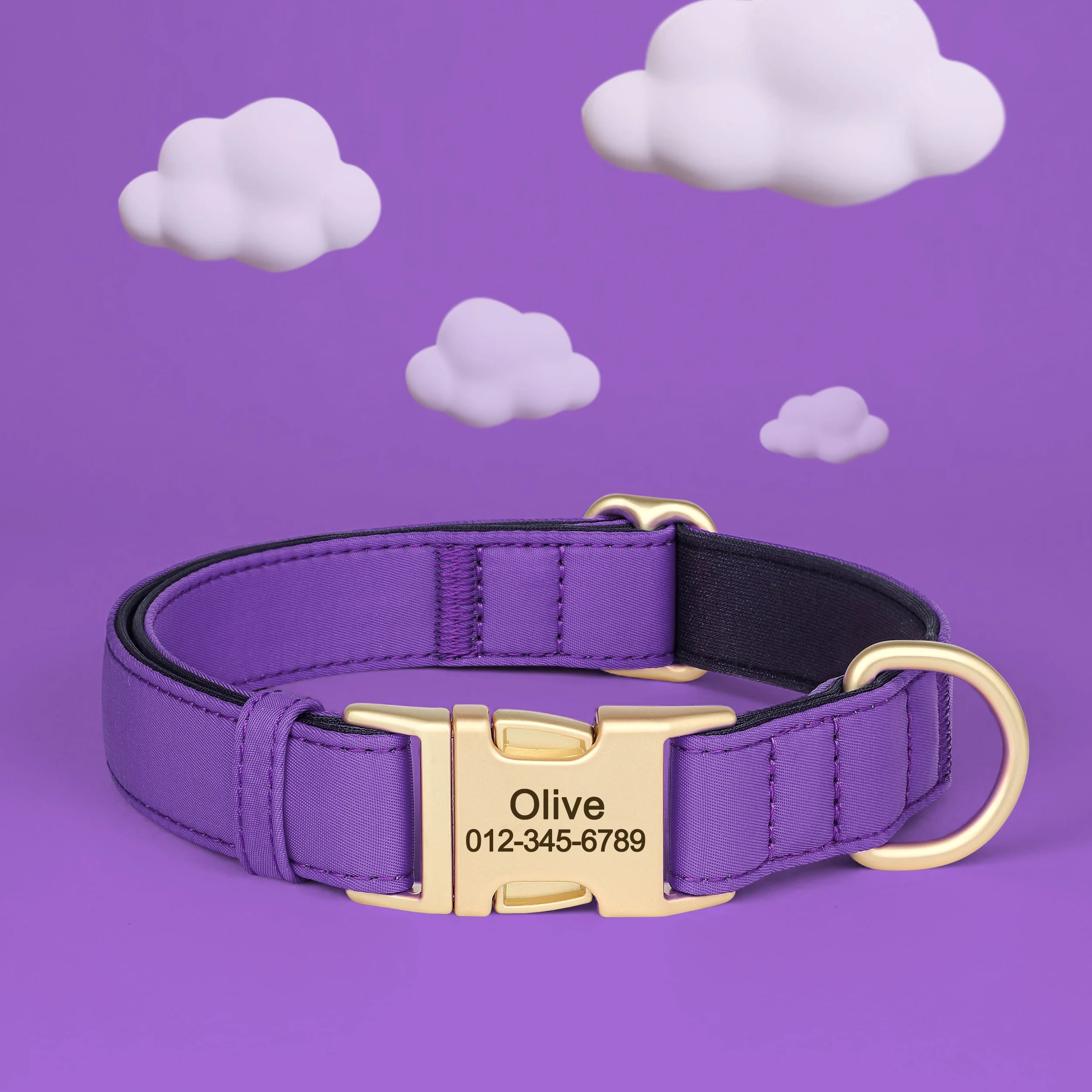 Personalized Collar