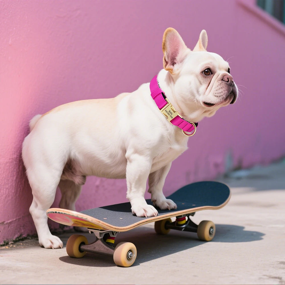 Personalized Collar