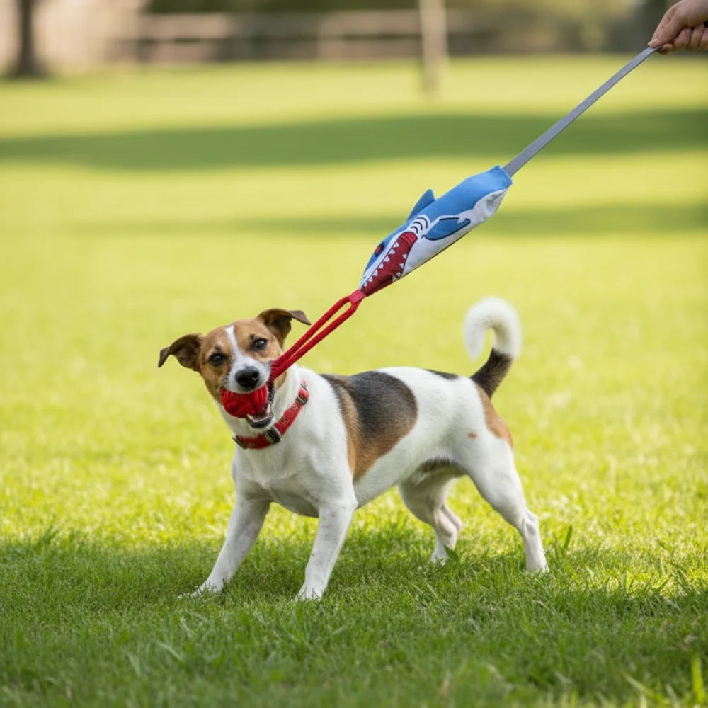 Shark Rope Tug Toy