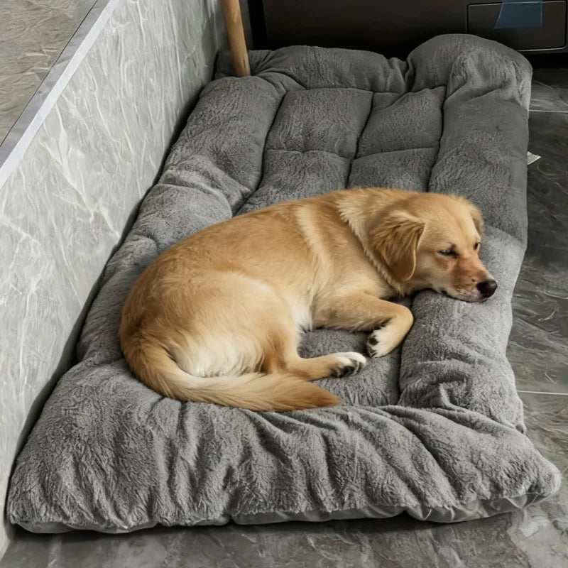 Plush Dog Bed