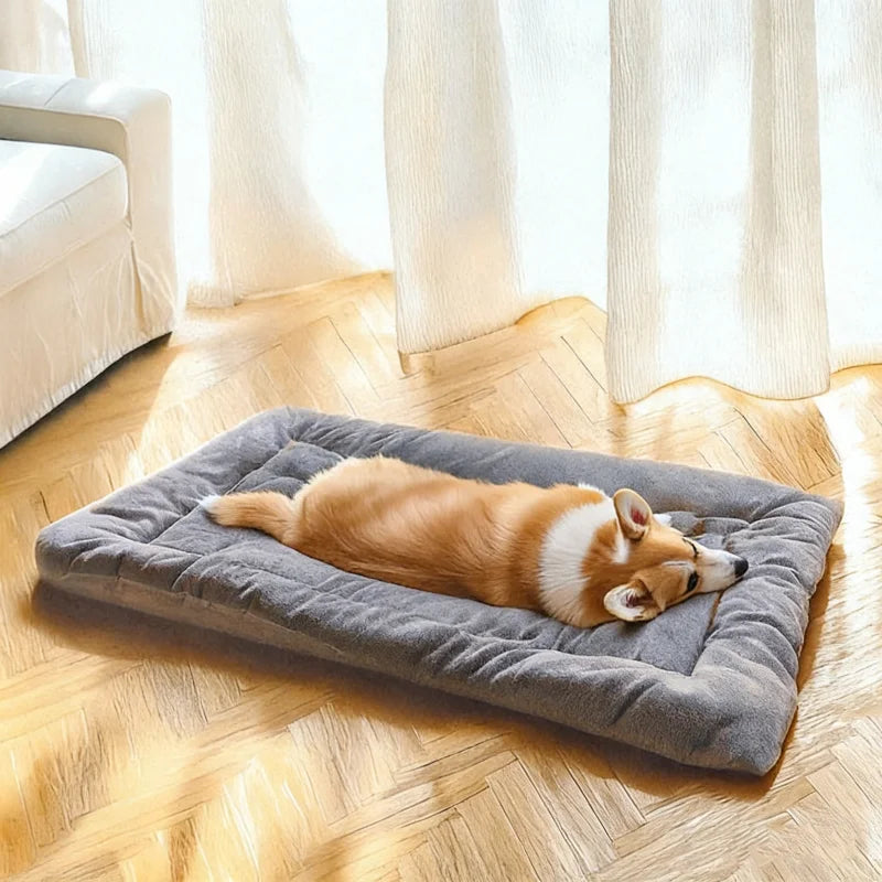 Plush Dog Bed