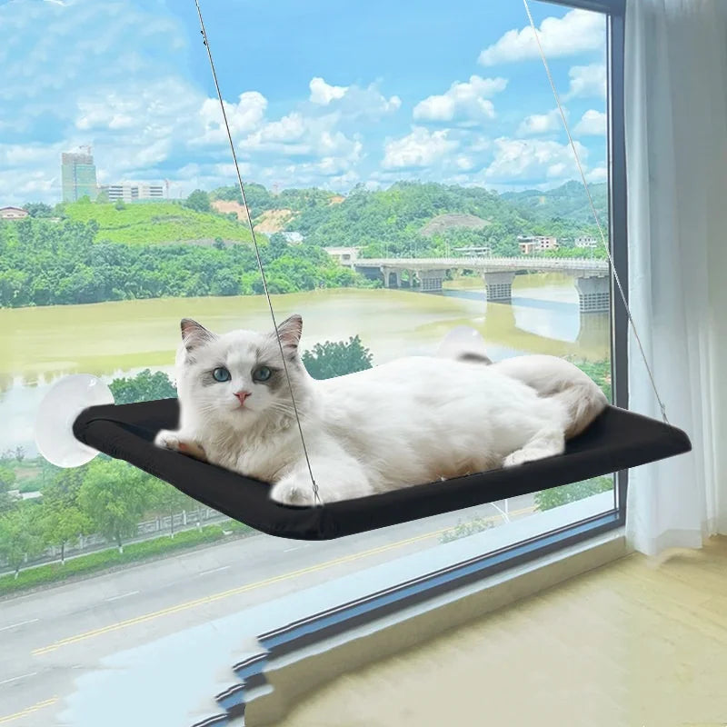 Window Hammock