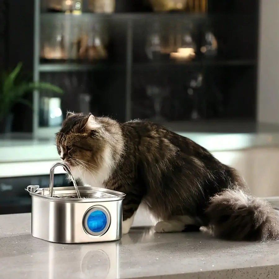 Stainless Steel Water Fountain