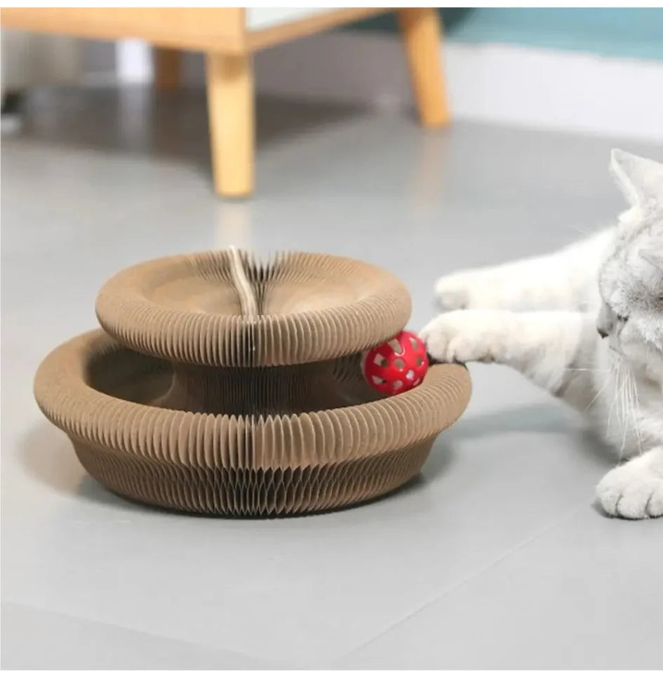 Calming Playfull Scratcher