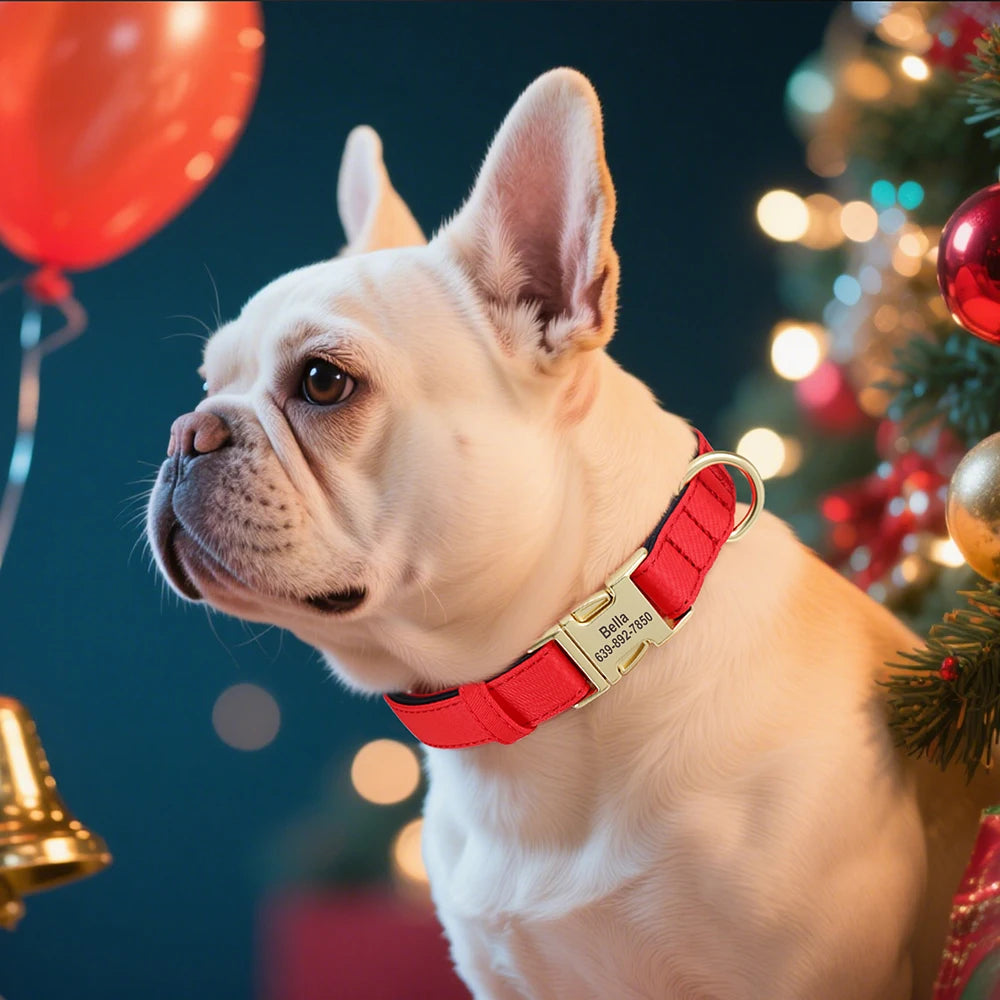 Personalized Collar