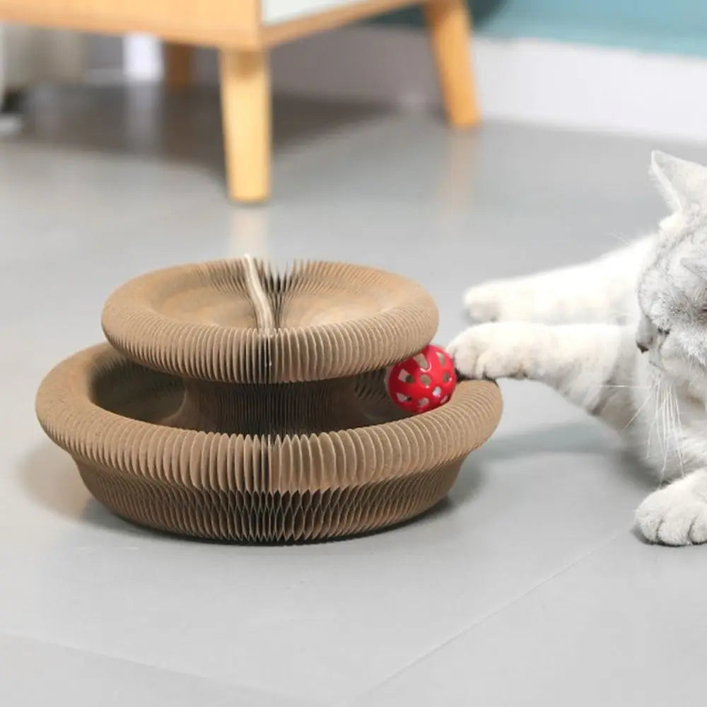 Calming Playfull Scratcher
