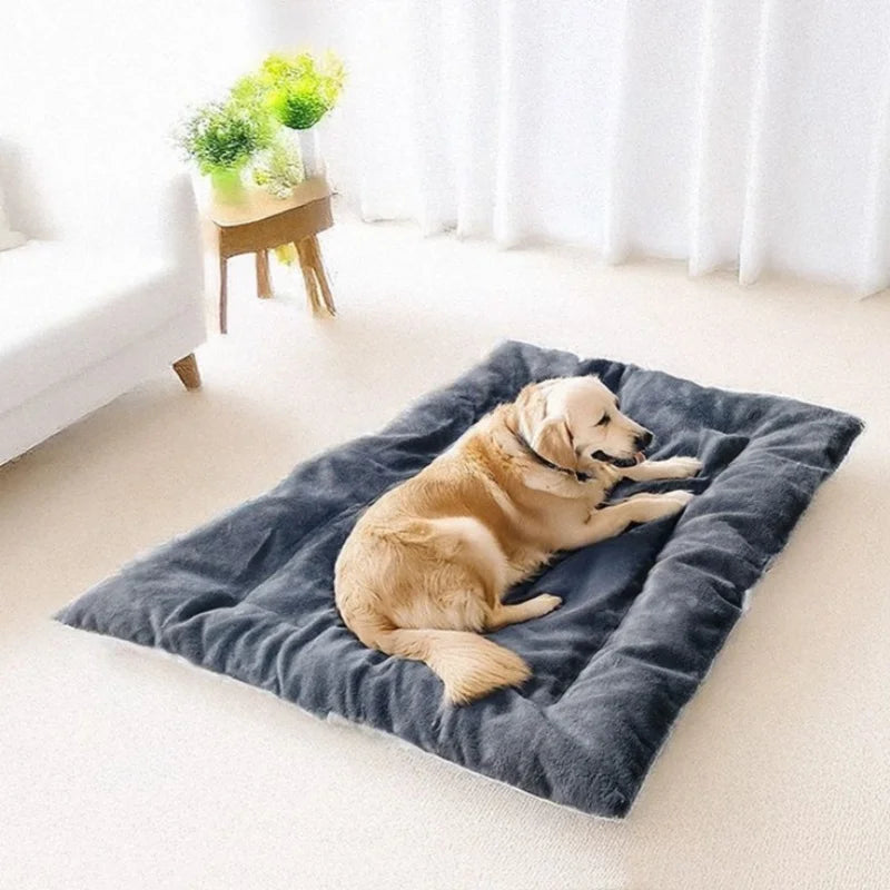 Plush Dog Bed