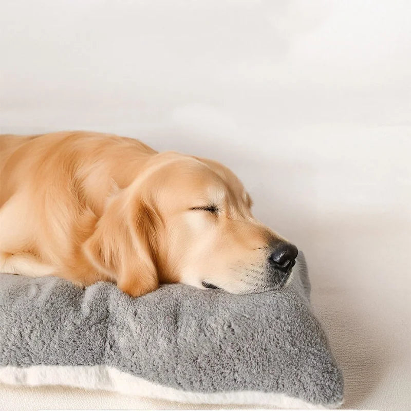 Plush Dog Bed