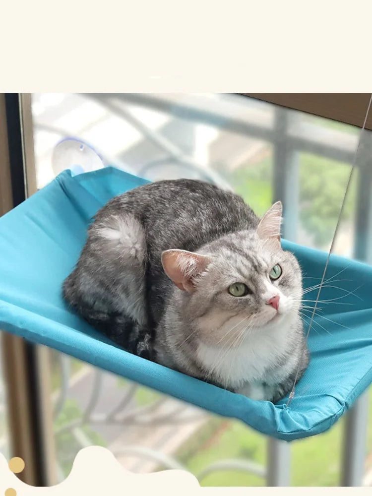 Window Hammock