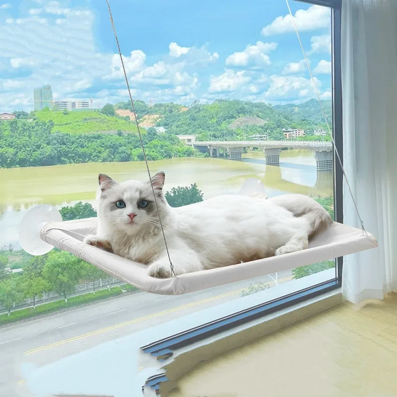 Window Hammock