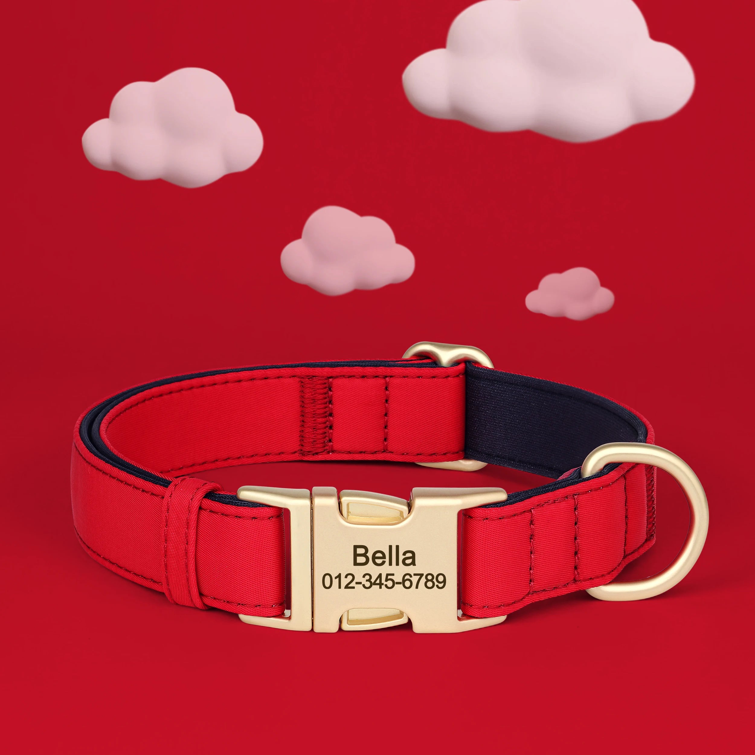 Personalized Collar