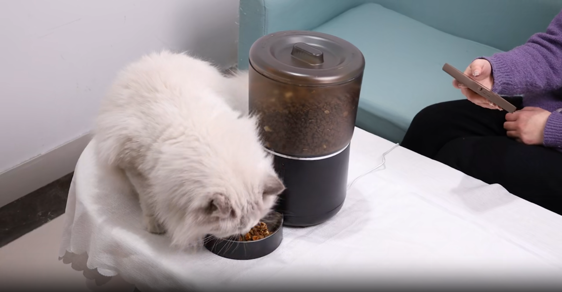 Smart Pet Feeder