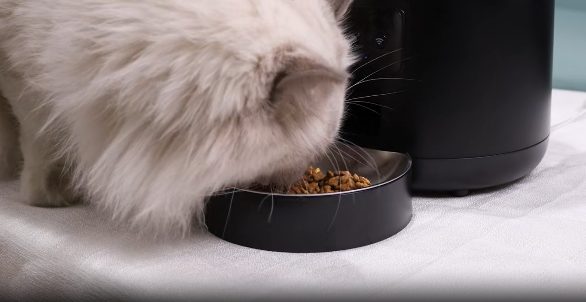 Smart Pet Feeder