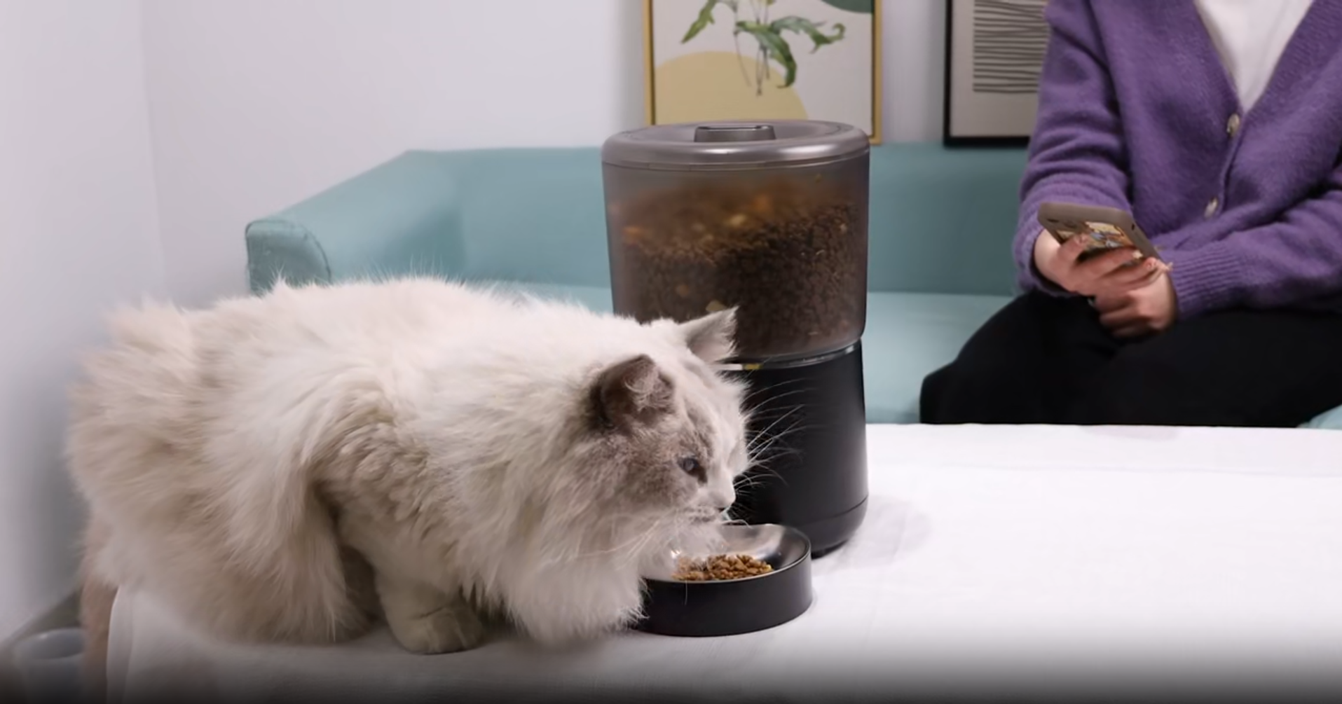 Smart Pet Feeder
