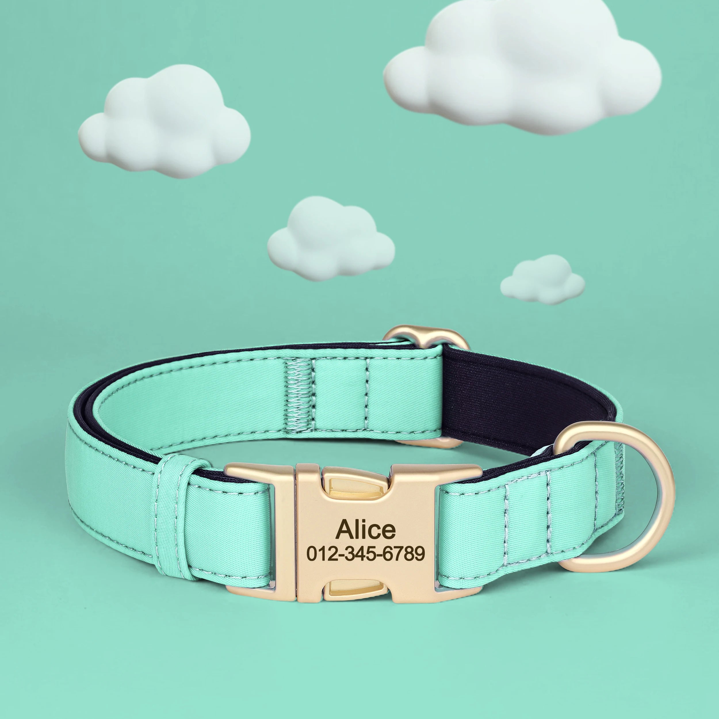 Personalized Collar