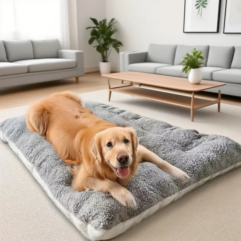Plush Dog Bed