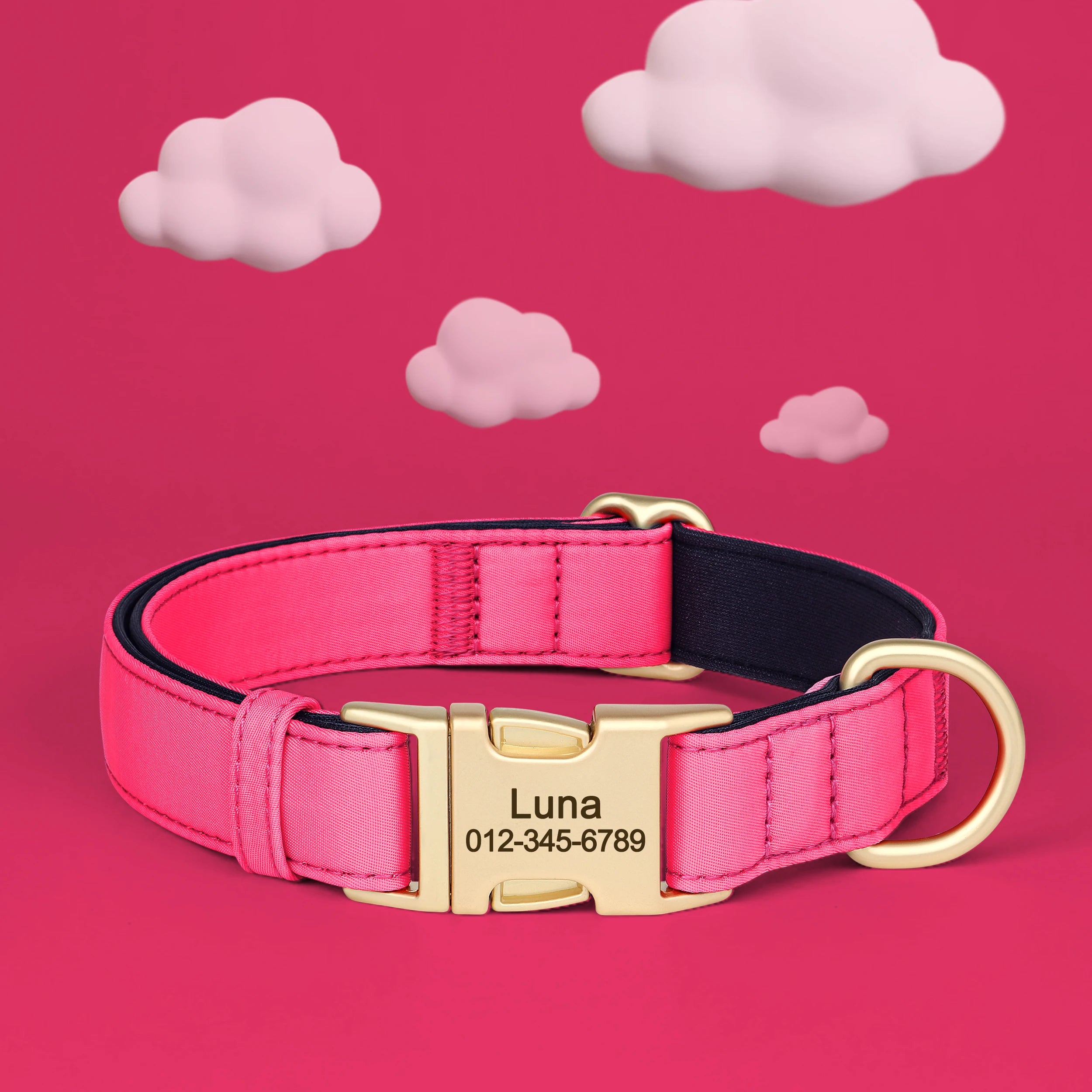 Personalized Collar