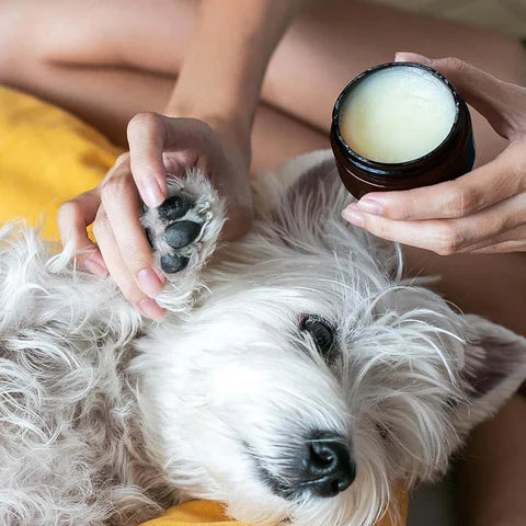 Nose and Paw Balm